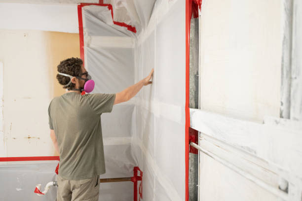 Best Post-Construction Mold Inspection  in Gower, MO