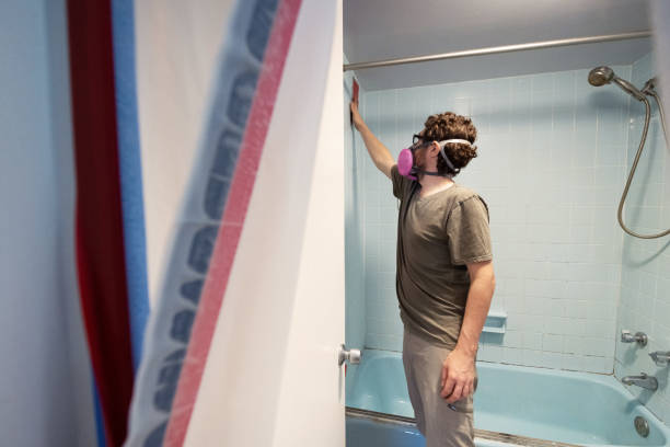 Best Dehumidification Services  in Gower, MO
