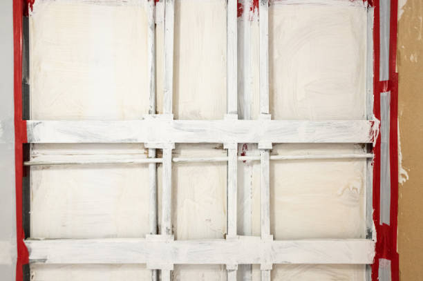 Best Mold Documentation for Insurance Claims  in Gower, MO
